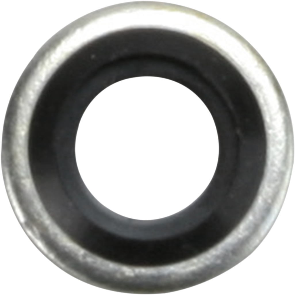 JAMES GASKET Rocker Cover Washer - '09-'22 Sportster JGI-6589