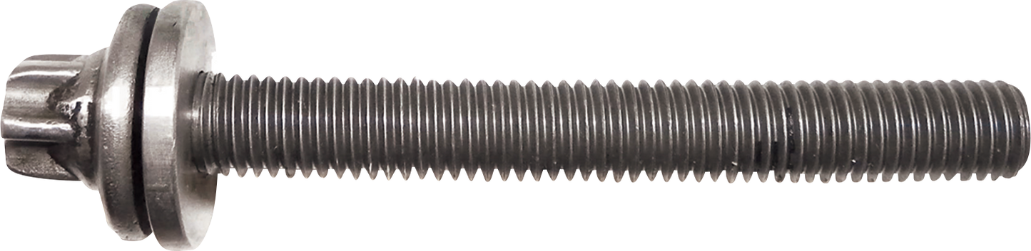 WSM Crankcase Replacement Bolt - Part Number 014-905