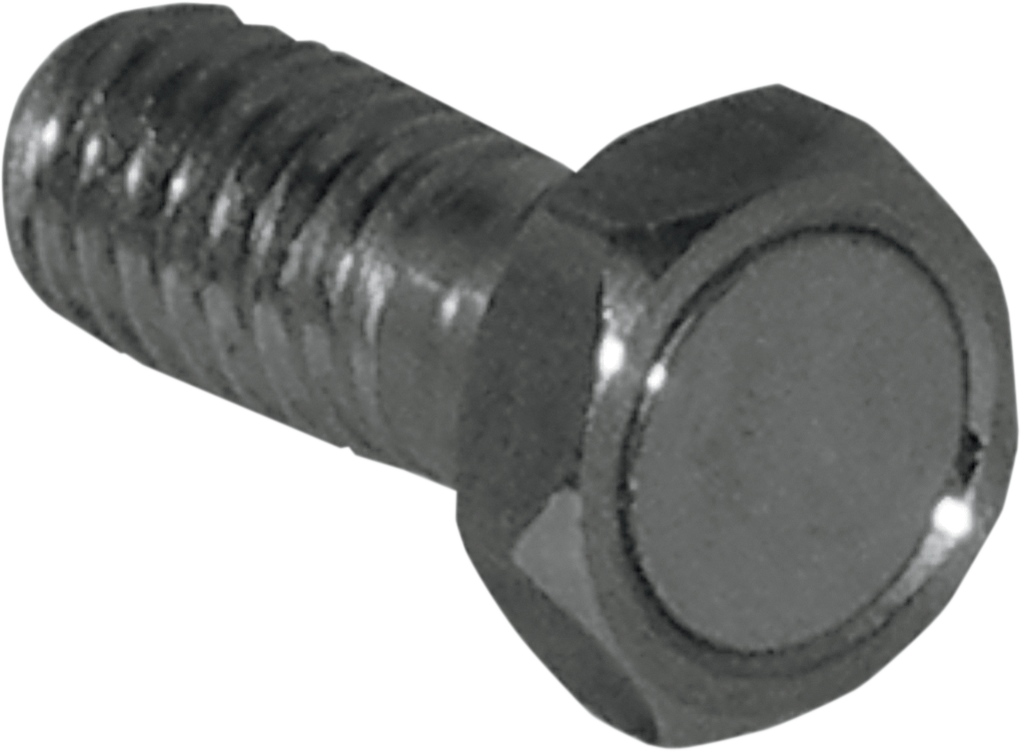 KOSO NORTH AMERICA Speed Sensor Magnet Bolt - M6 x P1.1 x 24 mm L BF010600