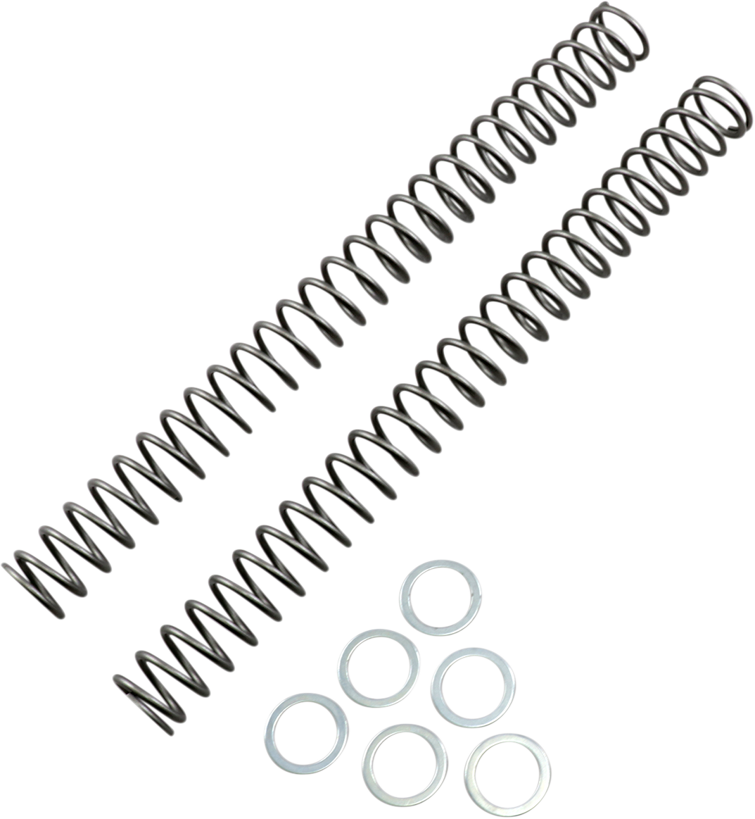 Race Tech FRSP 444738 Chrome Silicon Steel Fork Springs - 0.38 kg/mm