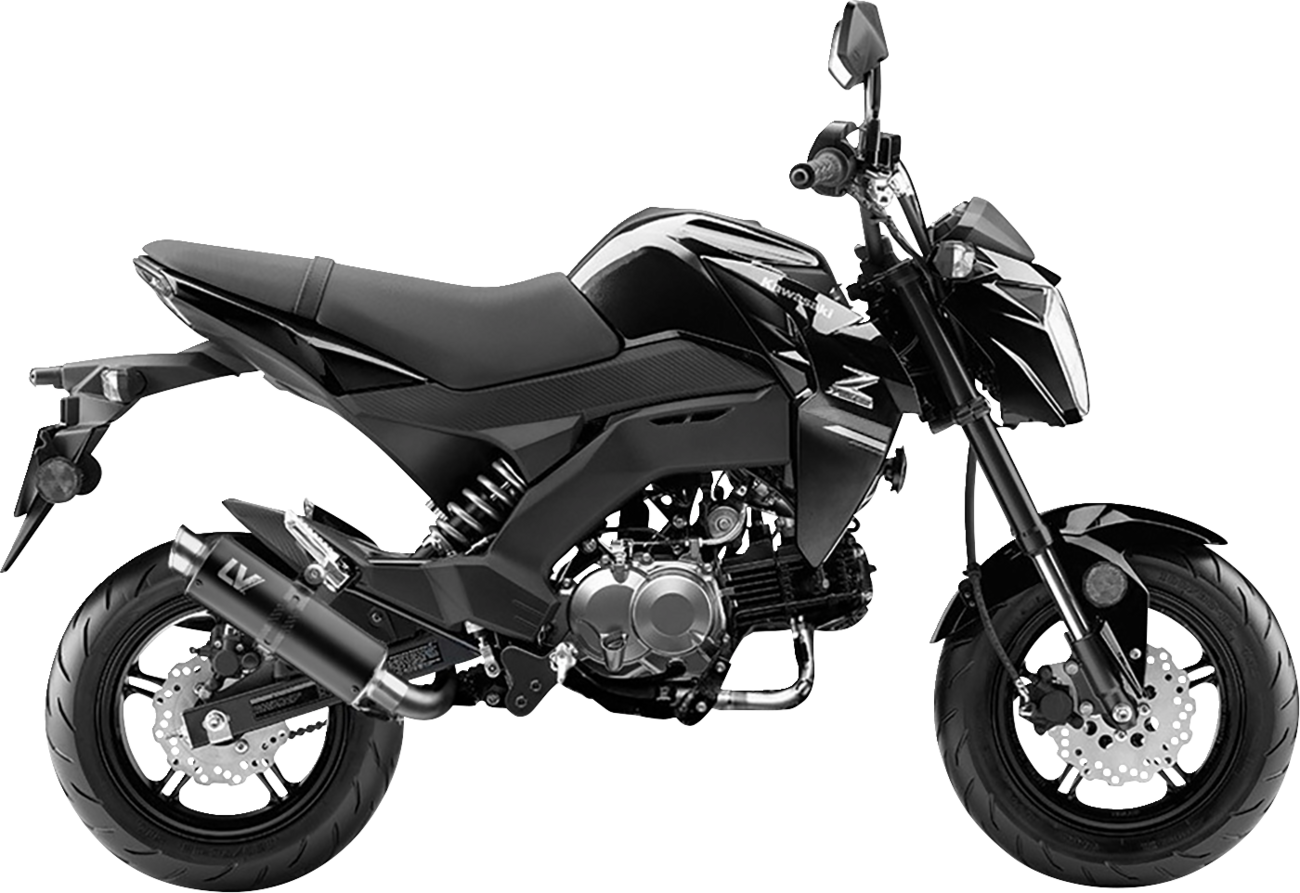 LEOVINCE GP Corsa Exhaust System - Black Edition - Z 125 3394BU