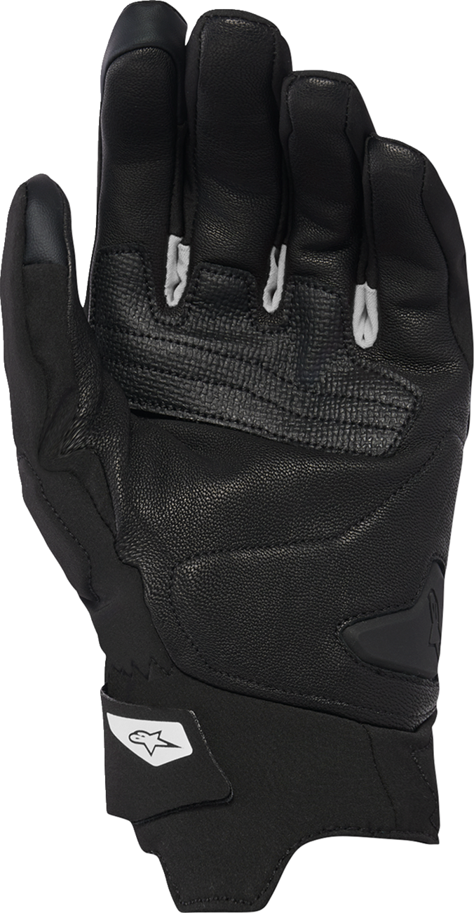 ALPINESTARS Faster V3 Plasma Drystar® Gloves - Black/White - Large 3560227-12-L