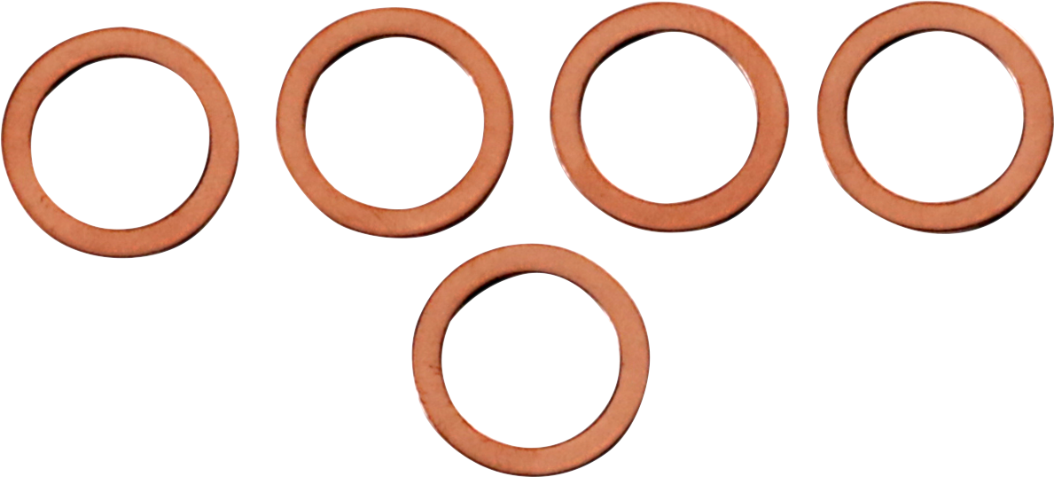 JAMES GASKET Fork Leg Washers - FX JGI-46615-06