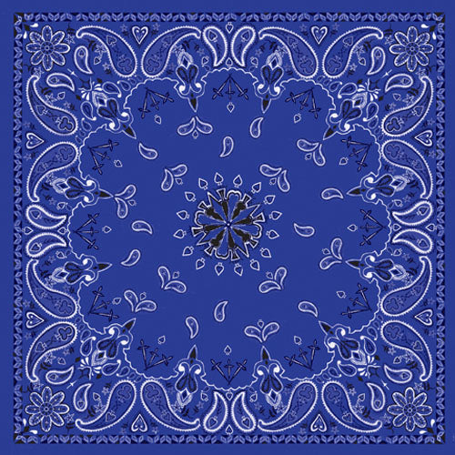 Bobster B002 100% Cotton Navy Paisley Bandanna – Premium 22 x 22 Inches