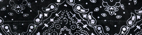 BOBSTER DC101 CoolDanna 100% Cotton Paisley Black Head Wrap