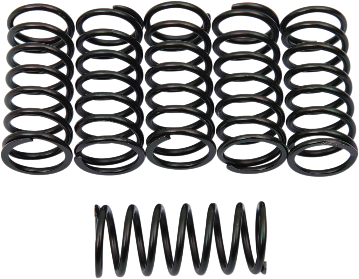 BARNETT Clutch Springs - Kawasaki/Husqvarna 501-40-06095
