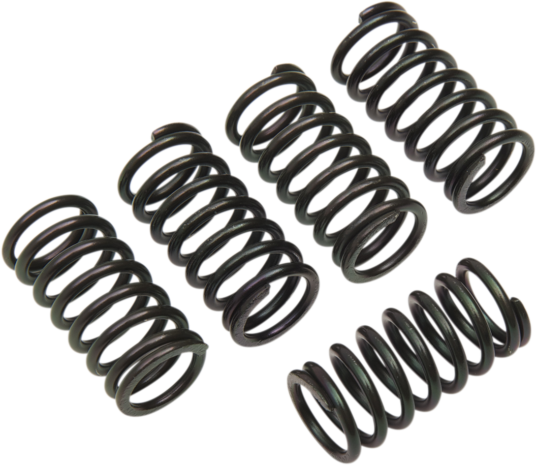 BARNETT Clutch Spring Set - Honda/KTM 501-30-05003