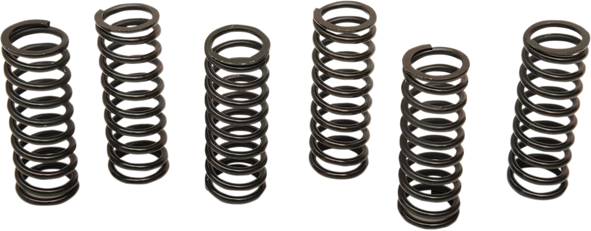BARNETT Clutch Spring Set - Honda/Suzuki 501-60-06085