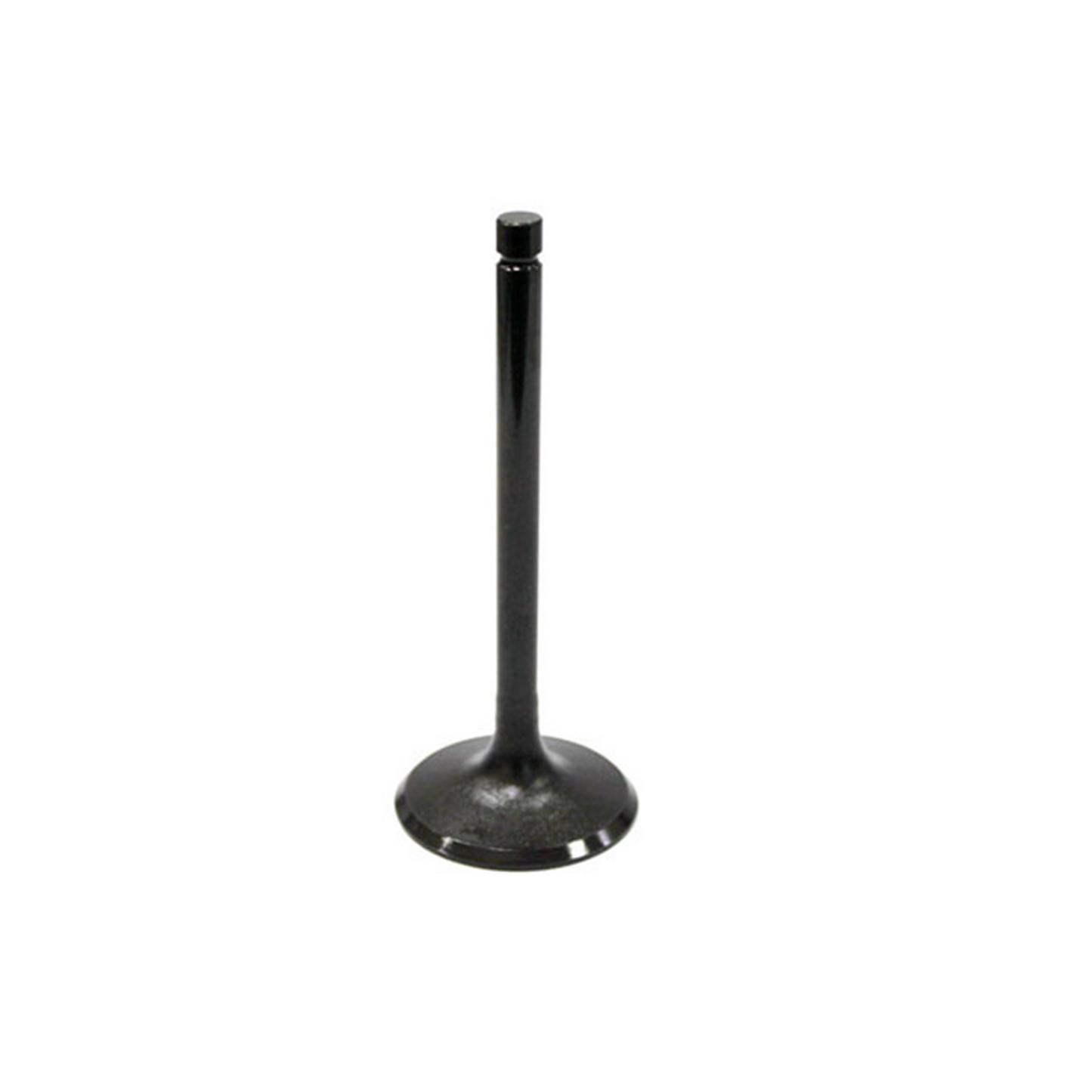 EXHAUST VALVE