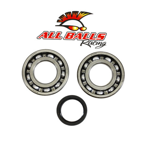 All Balls Racing Crank Bearing and Seal Kit - Part Number 24-1081