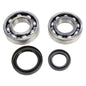 PROX CRNKSHFT BRNG&SEAL KIT LT250R'88-92