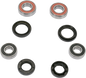 PIVOT WORKS Wheel Bearing Kit - Front - TRX 250/300/400 PWFWK-H11-420