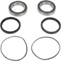 PIVOT WORKS Wheel Bearing Kit - Rear - Adly Moto/Honda PWRWK-H10-420