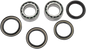 PIVOT WORKS Wheel Bearing Kit - Rear - Rincon PWRWK-H21-600
