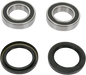 PIVOT WORKS Wheel Bearing Kit - Rear - Kayo/Yamaha PWRWK-Y09-000