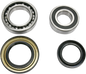 PIVOT WORKS Wheel Bearing Kit - Rear - Bear Tracker/Big Bear/Kodiak PWRWK-Y18-030