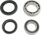 PIVOT WORKS Wheel Bearing Kit - Rear - Kodiak 400/450/Wolverine 450 PWRWK-Y21-040
