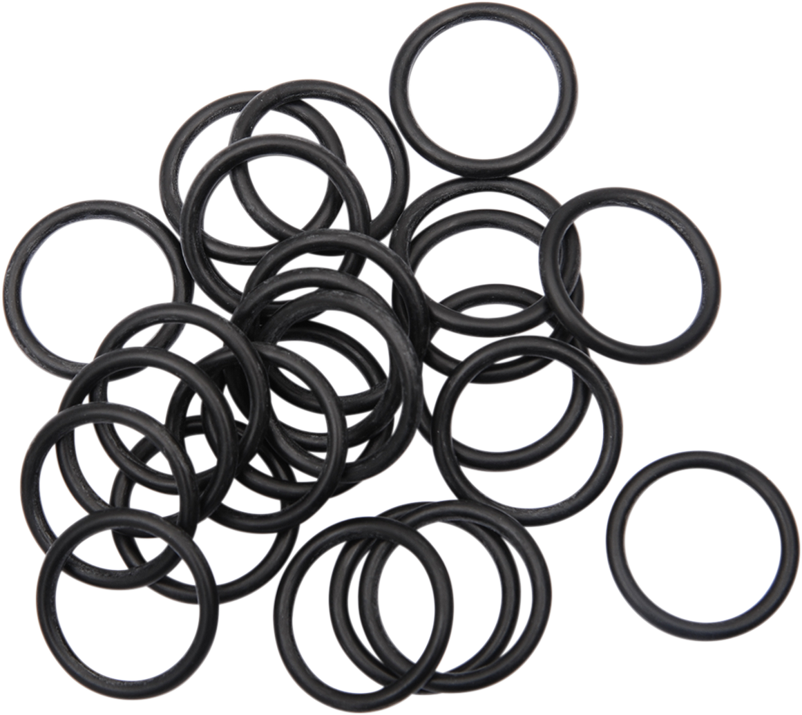 JAMES GASKET Camshaft Support Plate Oil Pump Outer O-Ring - '17-'23 M8 JGI-11900103
