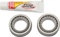 PIVOT WORKS Steering Stem Bearing Kit - Kawasaki/Suzuki PWSSK-S04-421