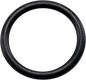 JAMES GASKET Drain Plug O-Ring - 10 Pack - '15-'20 XG500/750 ST-11900045-10
