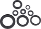 MOOSE OFFROAD Oil Seal Kit - Honda 822996mse