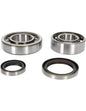 PROX YFS200 Blaster Crankshaft Bearing & Seal Kit (Part Number 23.CBS22105)