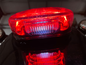 CUSTOM DYNAMICS Taillight - with Bottom License Plate Illumination Window - Red PB-TL-LPBW-R