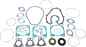 VERTEX Complete Gasket Kit with Seals - Polaris 611809