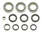 BRONCO DIFFERNTIAL BEARING KIT