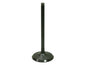 BRONCO INTAKE VALVE