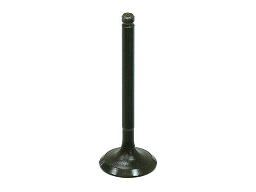 BRONCO INTAKE VALVE