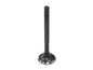 BRONCO INTAKE VALVE
