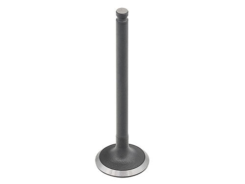 BRONCO INTAKE VALVE