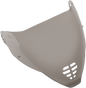 ICON FliteShield™ Shield - Airflite™ - Pinlock® Prepared - RST Silver 0130-0863