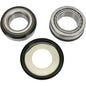 PW STEERING STEM BEARING KIT