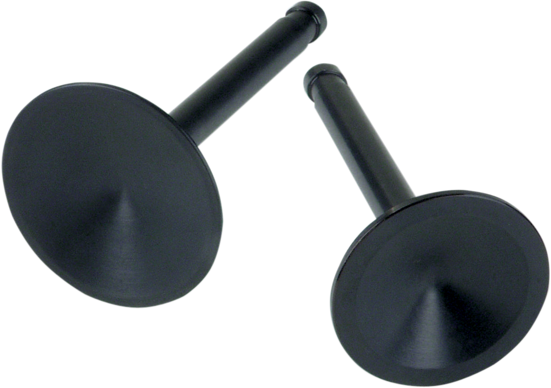 S&S CYCLE Intake Valve - 1.95" - Big Twin '66-'84 90-2015