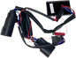 CUSTOM DYNAMICS Adapter - Dual Color Plasma Rods PR-MPRSEQ-BCM