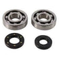 Hot Rods Inc Kawasaki Main Bearing & Seal Kit (Part K226)