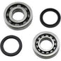 HOTROD'S INC Hot Rods Main Bearing & Seal Kit for Suzuki - Part Number K016
