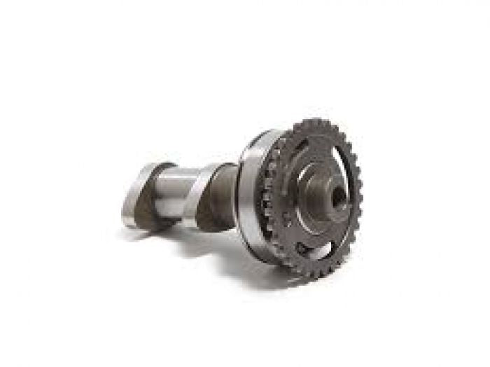 HOT CAMS CAMSHAFT EXHAUST