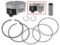 NAMURA Piston Kit NA-10093-2 for Automotive Engines