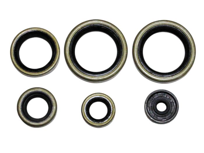 NAMURA Engine Oil Seal Set - Part Number NX-09226, 6 Pieces