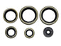 NAMURA Engine Oil Seal Set - Part Number NX-09226, 6 Pieces