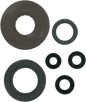 MOOSE OFFROAD Motor Oil Seals - Honda 822209mse