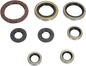 MOOSE OFFROAD Motor Oil Seals - Husqvarna/KTM 822364mse
