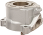 CYLINDER WORKS Cylinder - 45.00 mm - Gas Gas | Husqvarna | KTM 50005