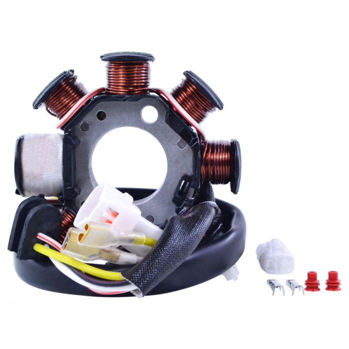 RMSTATOR KIT100W AC TO DC CONVERSION KIT STATOR + REGULATOR