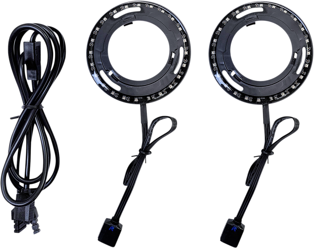 CUSTOM DYNAMICS ProGLOW™ Speaker Light - Lower Fairing - Tour-Pak PG-SPEAKER-R-1