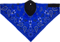 ZAN HEADGEAR Neodanna® SportFlex® Face Mask Navy Paisley NEOL111 - Adjustable Neck and Face Covering with UV Protection