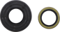VERTEX Oil Seal - Polaris 55108
